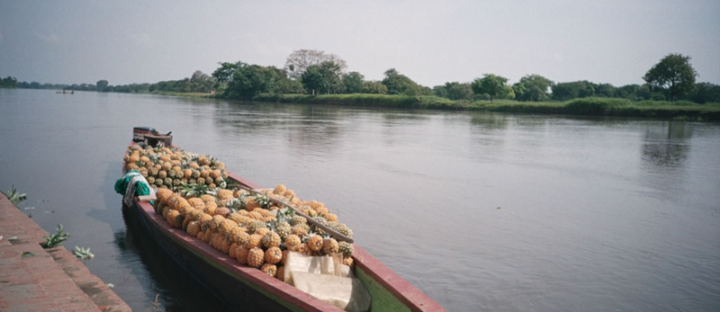 A Victory After 15 Years: Land Restitution for Families Displaced by the El Quimbo Dam