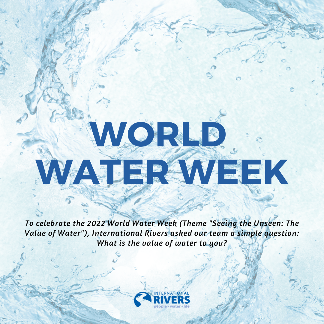 World Water Week 2022 The Value of Water International Rivers